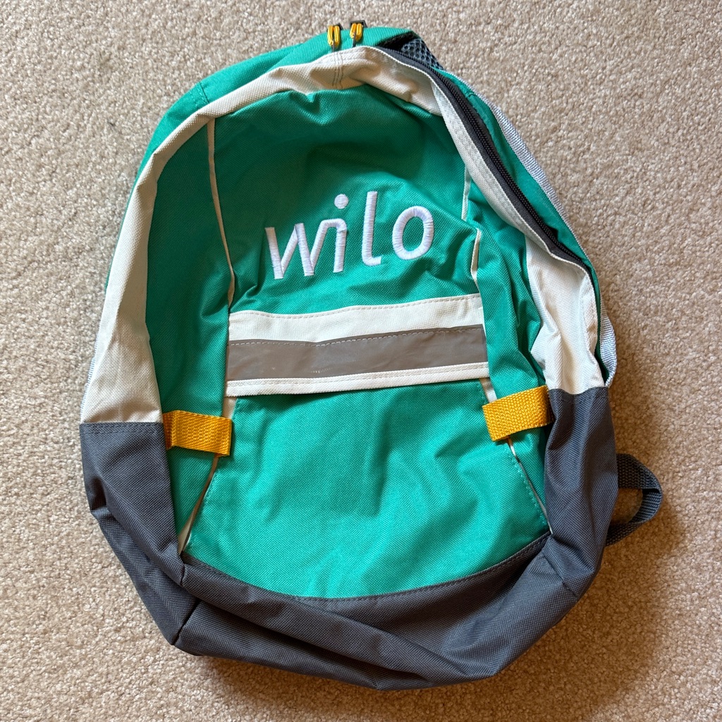 Wilo Teal And Gray Men's Backpack